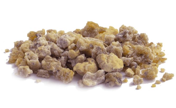 dorema ammoniacum,cum ammoniac,gum ammoniac,